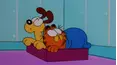 Garfield and Friends