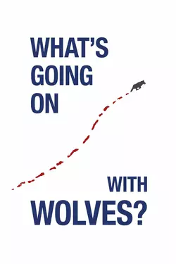 What's Going On With Wolves