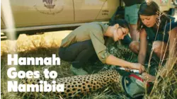 Trophy hunting - just killing or conservation?