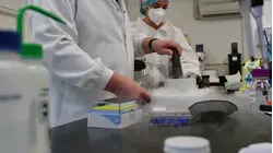 FDA Moves to Fast-Track Three Psychedelic Drugs for Review