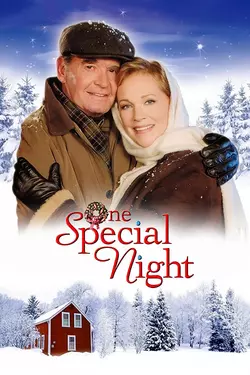 One Special Night