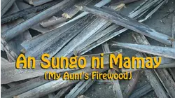 My Aunt's Firewood