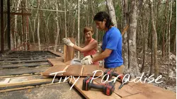 Tiny Jungle Paradise