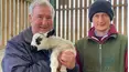 The Yorkshire Vet
