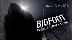 Holler Creek Canyon