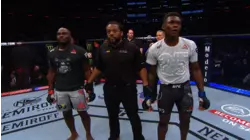 Rising Stars of 2018