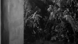 Conquest of New Providence