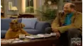 ALF