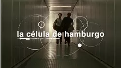 The Hamburg Cell