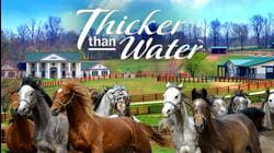 Thicker Than Water