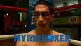 My Punch-Drunk Boxer