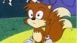 Best Hedgehog
