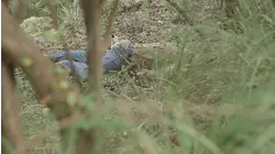 The Case of Dagmar Sprenger