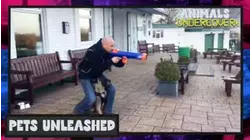 Animals Undercover | Pets Unleashed