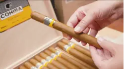 Why Cuban Cigars Are So Expensive