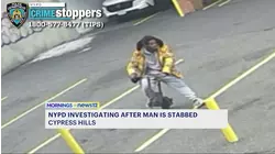 Man wanted for stabbing in Cypress Hills