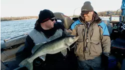 Rainy River Walleye Windows