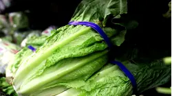 Officials Warn Stomach Bug Outbreak Could Last Through Summer