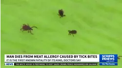 The 47-year-old died after eating a hamburger at a barbecue.