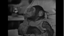 The Red Skelton Show: Dr. Schlepper