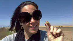 Namibia and the Galapagos