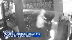 Suspects break into 5 Hyde Park businesses, police say: VIDEO