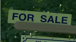 State Senate votes on pressing bills during second day of special session