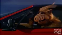 ALF: S1 E16 - Try to Remember