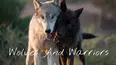 Wolves And Warriors