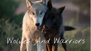 Wolf Rescue Mission