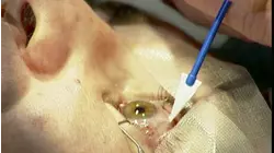 Carpet and Drinking Water