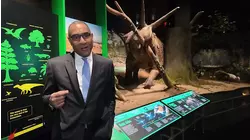 Dinosaur-era exhibit dives into Earth's biggest turning point at American Museum of Natural History