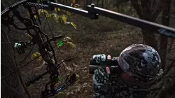 Iowa Whitetails