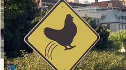 Flying Chicken Crossing