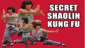 Secret Shaolin Kung Fu