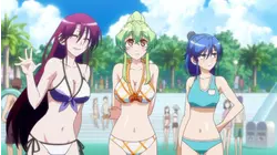 Let's Put on Our Swimsuits!