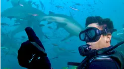 Fiji: The Road to Happiness