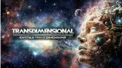 Transdimensional: Entities from 11 Dimensions