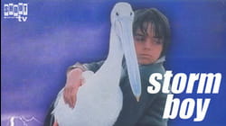 Storm Boy