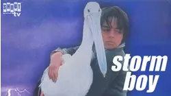 Storm Boy