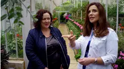 Belfast to Johannesburg