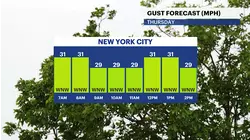Sunny and cooler conditions for The Bronx; tracking chances of rain for the weekend
