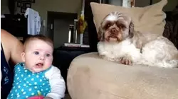 Family First
