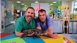 There's A Lizard In The Lab!