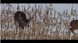 The Great Outdoors S2:E1 "Last Breath"