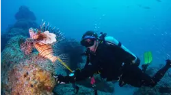 How To Do Spearfishing