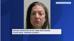 River Edge woman fights for life after hit-and-run collision