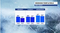 Chance of snow shower or squall today in New Jersey; week ahead starts with brighter skies and chilly breeze