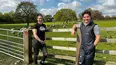 The Yorkshire Vet