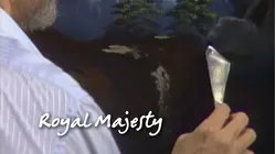 Royal Majesty